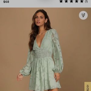 Tomorrow and Always Light Sage Green Burnout Floral Mini Dress Lulus